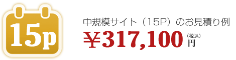 中規模サイト(15P)317,100円(税込)