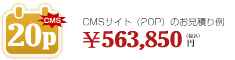 CMSサイト(20P)563,850円(税込)