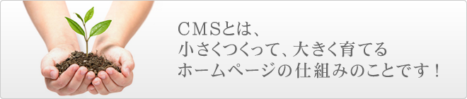 CMSとは、小さくつくって、大きく育てる、ホームページの仕組みのことです!