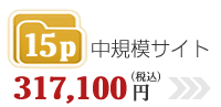 中規模サイト20P=315,000円