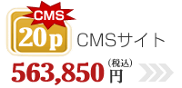 CMSサイト20P=556,500円