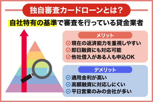 独自審査カードローンの解説